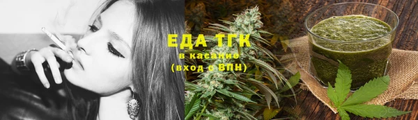 индика Магас