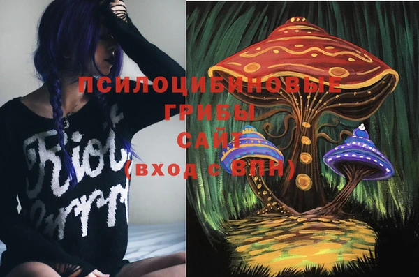молекула духа Лихославль