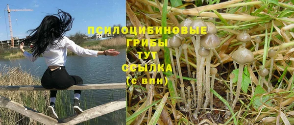индика Магас