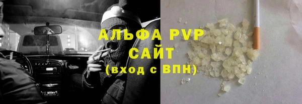 индика Магас
