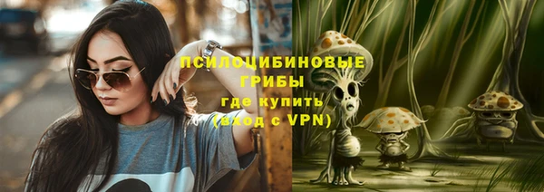 индика Магас
