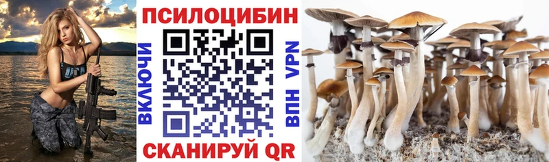 сколько стоит  Вышний Волочёк  Галлюциногенные грибы прущие грибы 