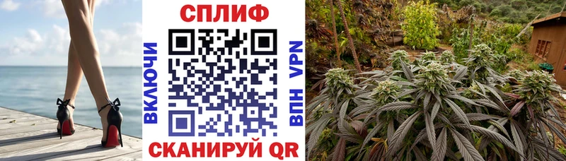 Шишки марихуана Amnesia Вышний Волочёк